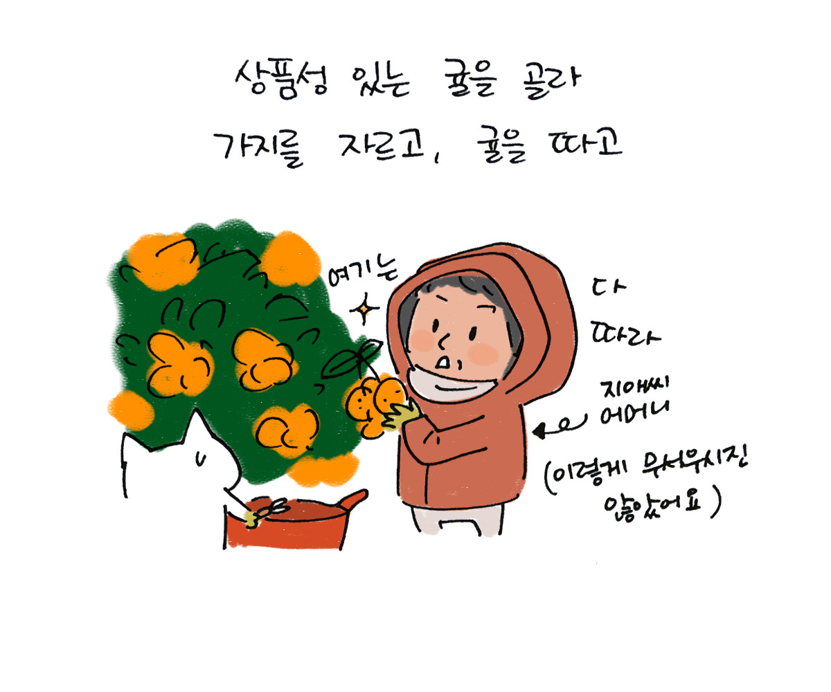 너굴양 그림일기 20171208_5.jpg