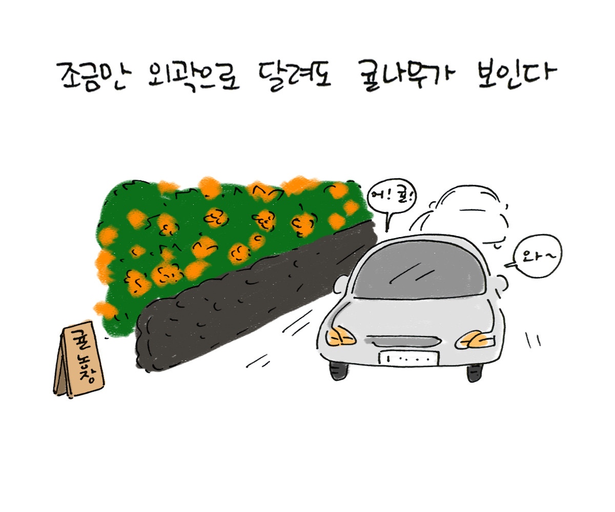 너굴양 그림일기 20171208_2.jpg