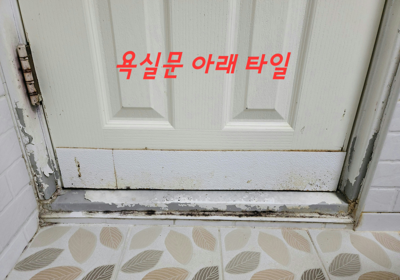 욕실문 아래 타일.jpg