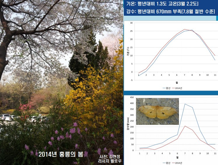 화면 캡처 2020-12-08 151253.jpg