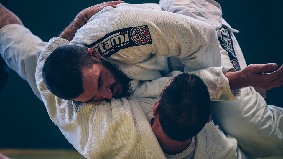 brazilian-jiu-jitsu-2957075_960_720.jpg