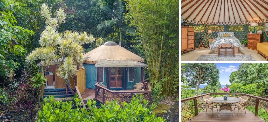 정글 유르트.jpg