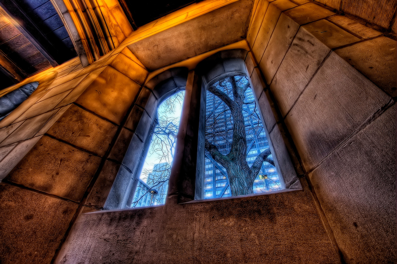 파일노리 좋아요117.jpg