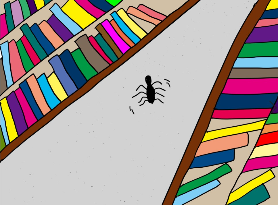 거미 그림판.jpg