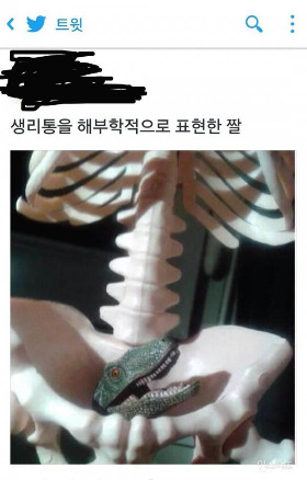 사진3.jpg