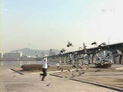 [사진12] 안녕 프란체스카.jpg