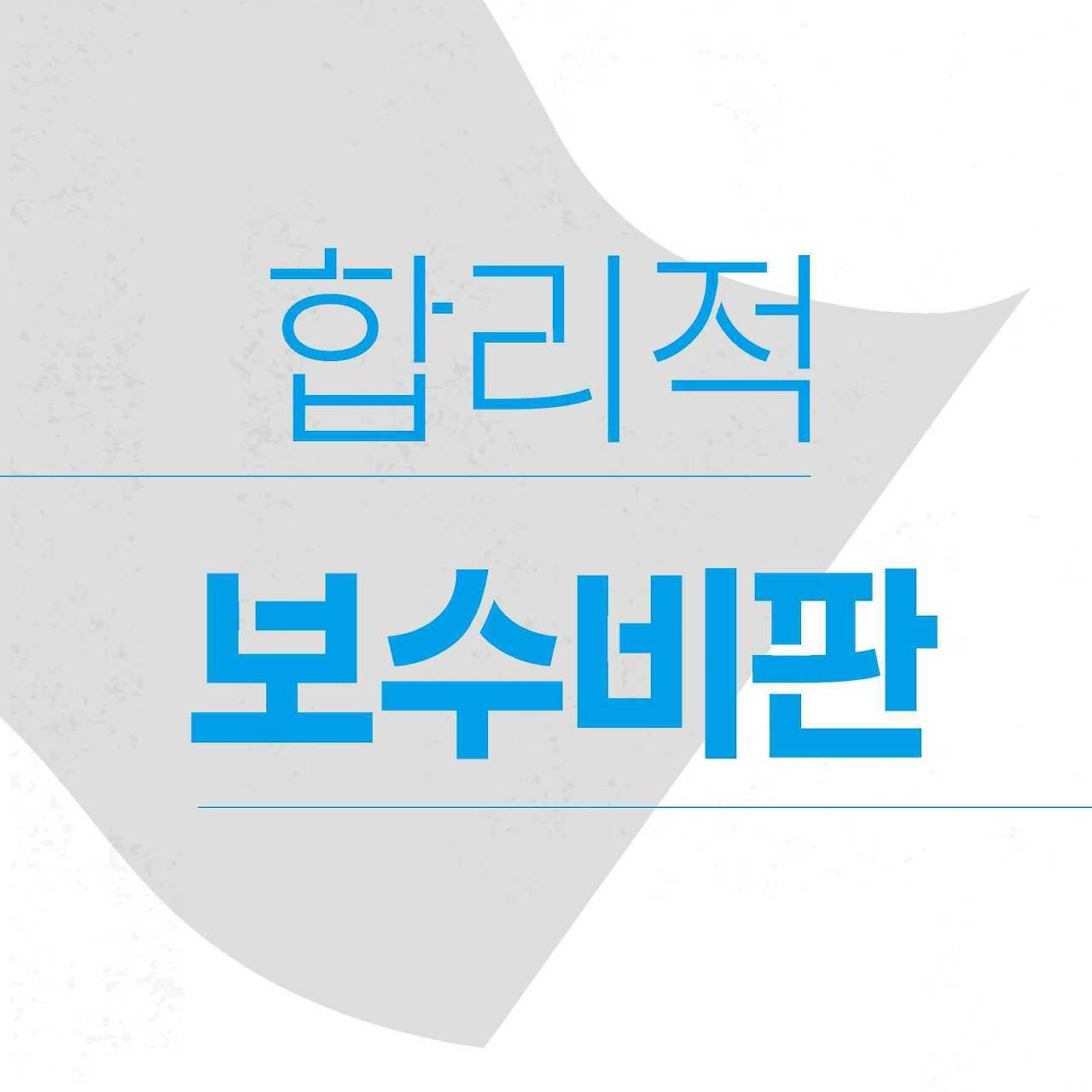 6. 합리적 보수비판.jpg