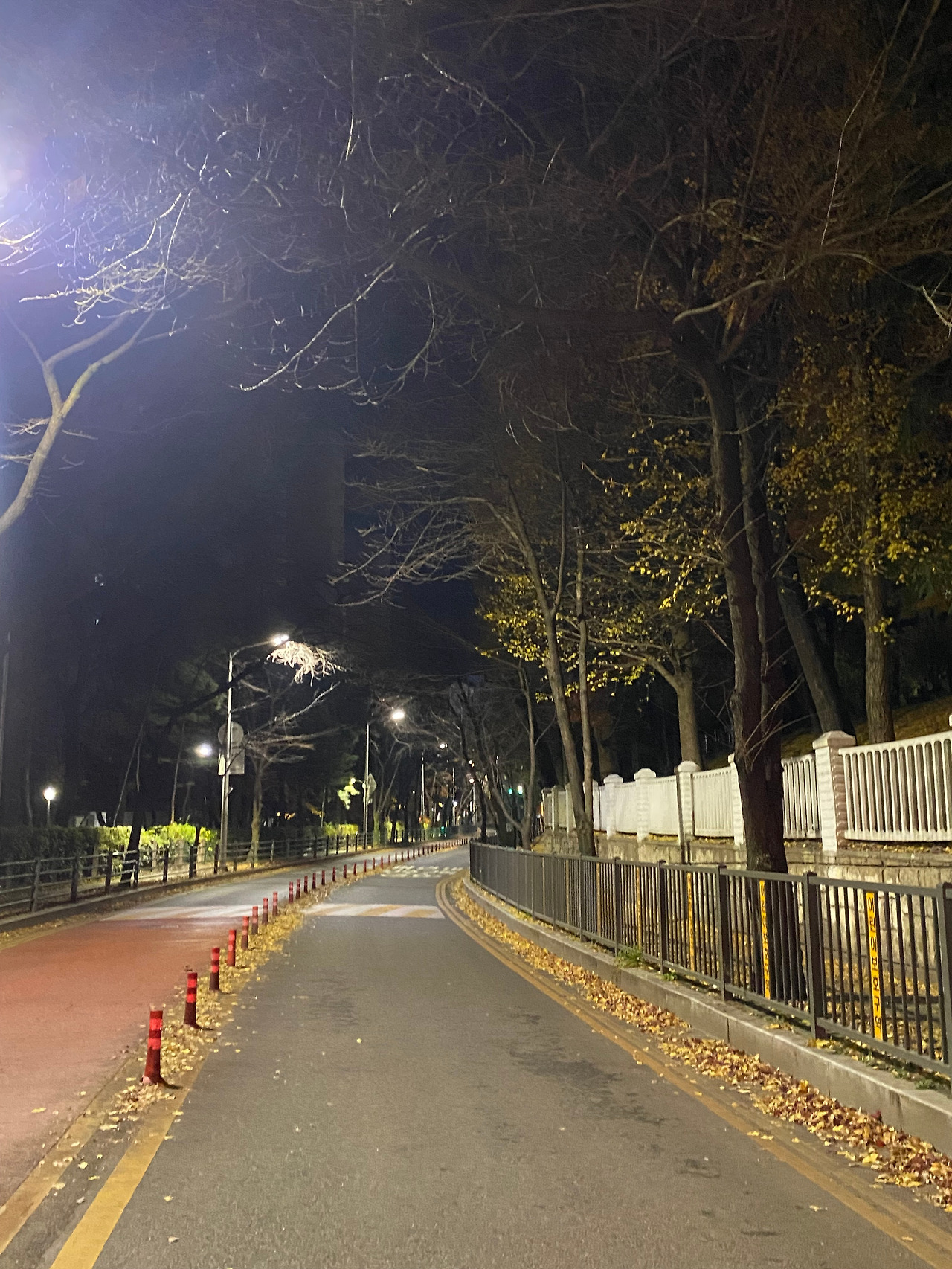 선우와 고향(현서) 사진.jpg