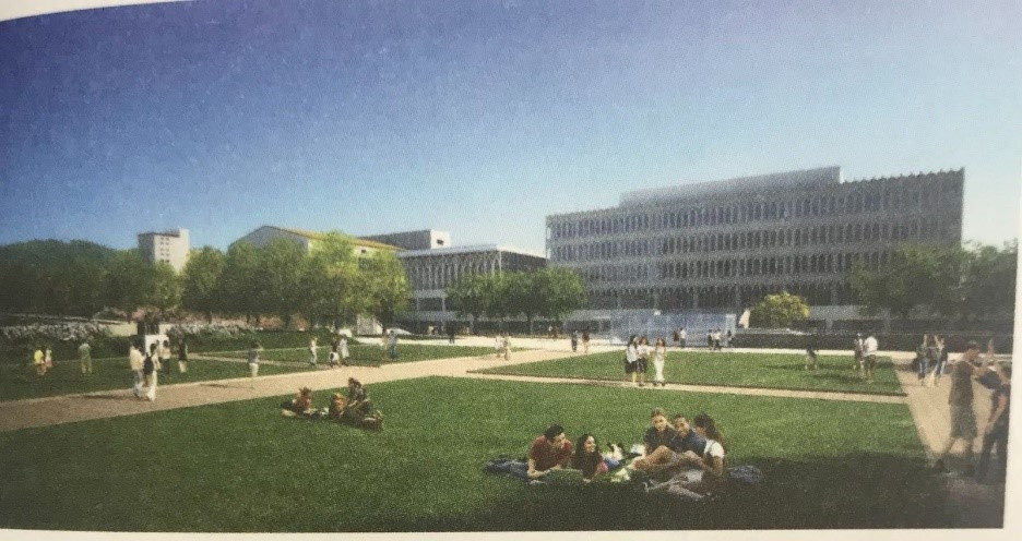 백양로 그림7.jpg