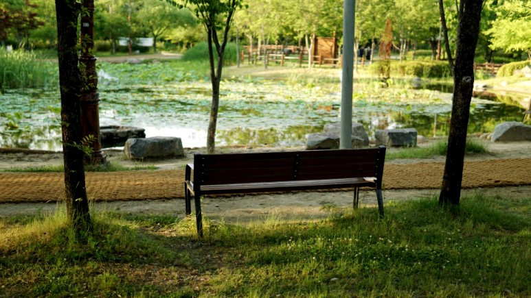습지원_벤치.jpg