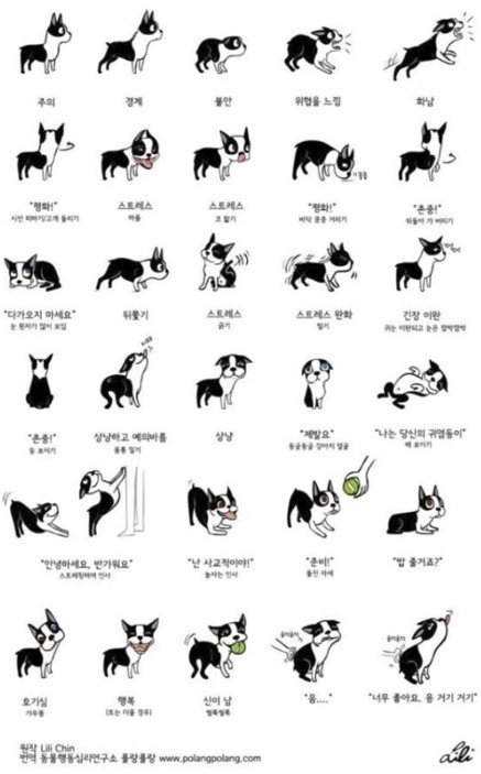 카밍시그널 30종.jpg