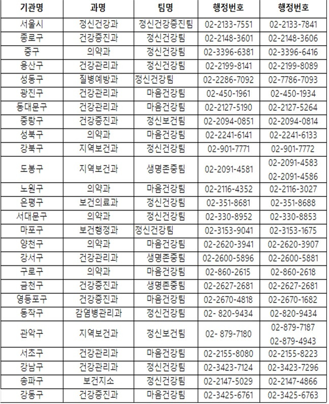 서울시 정신건강.jpg