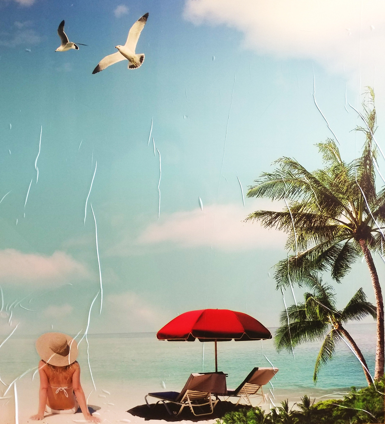 살인의 해석_뒤돌아보기.jpg