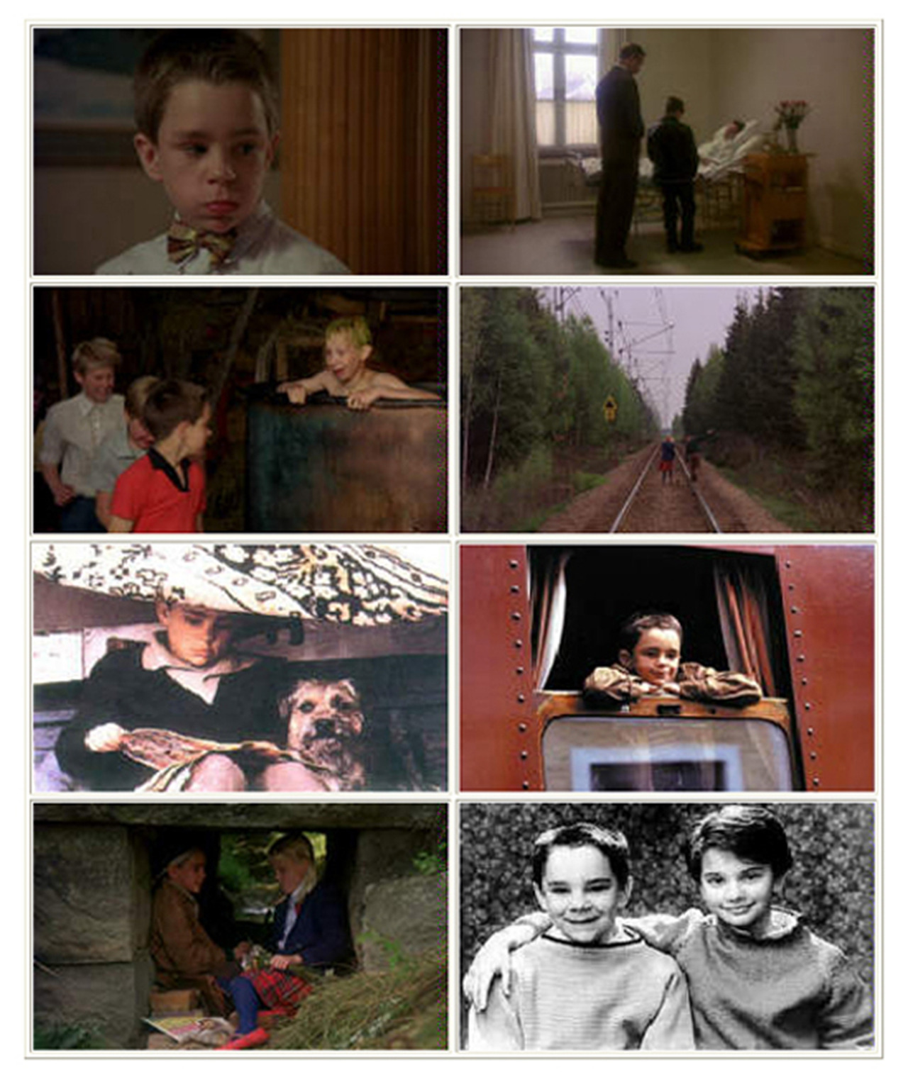 개같은 내 인생.jpg