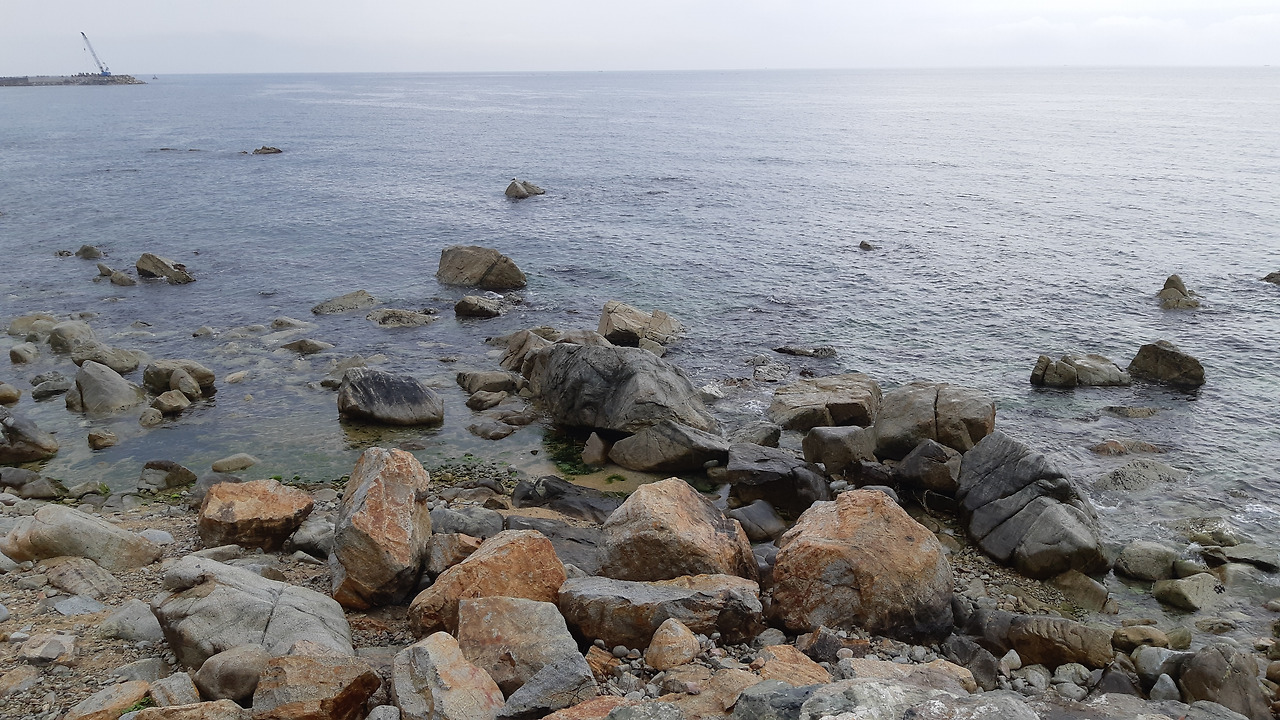 20200721_영덕항 (4).jpg