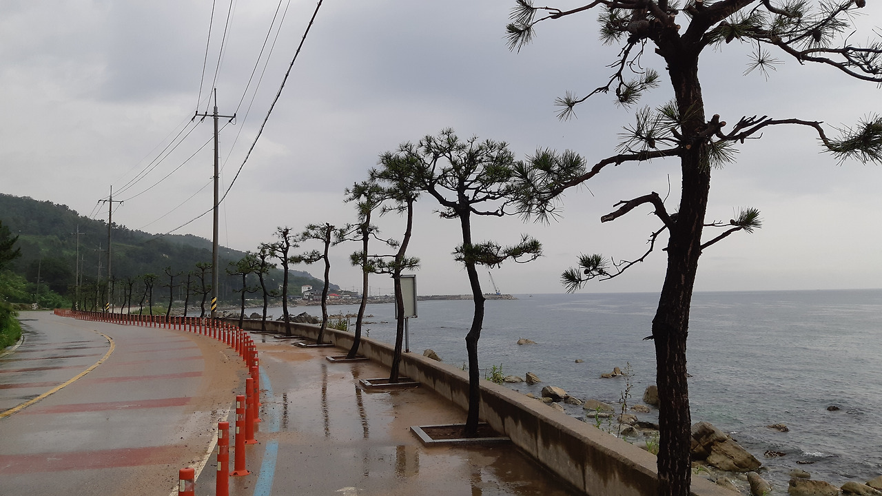 20200721_영덕항 (5).jpg