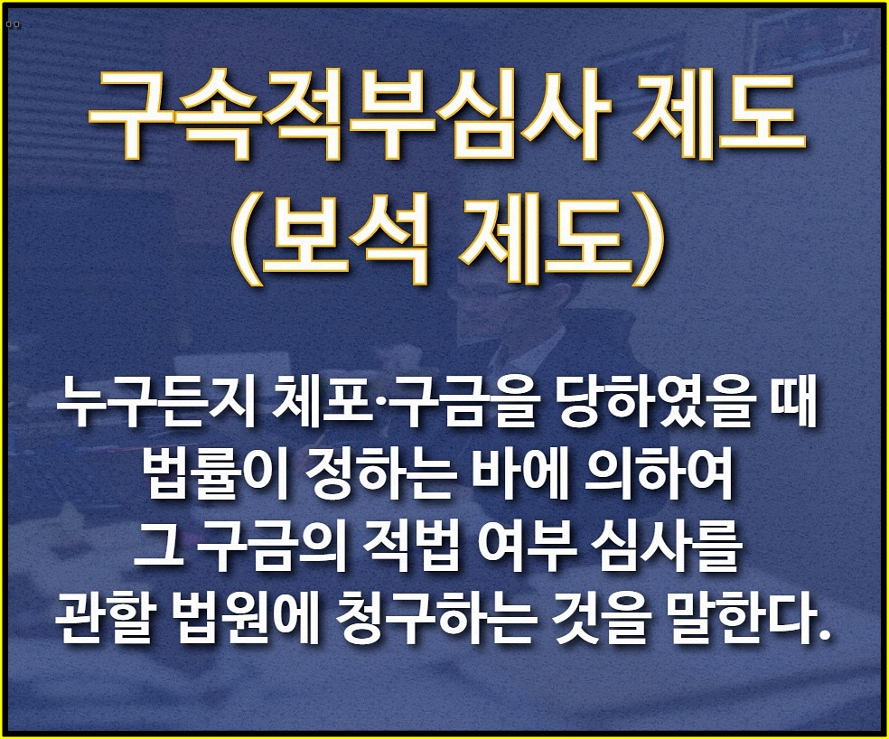 구속영장실질심사 (11).jpg
