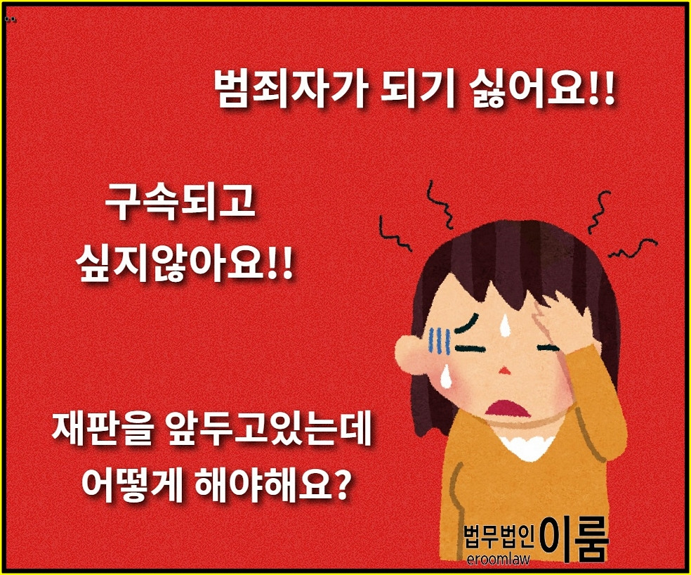 구속영장실질심사 (13).jpg