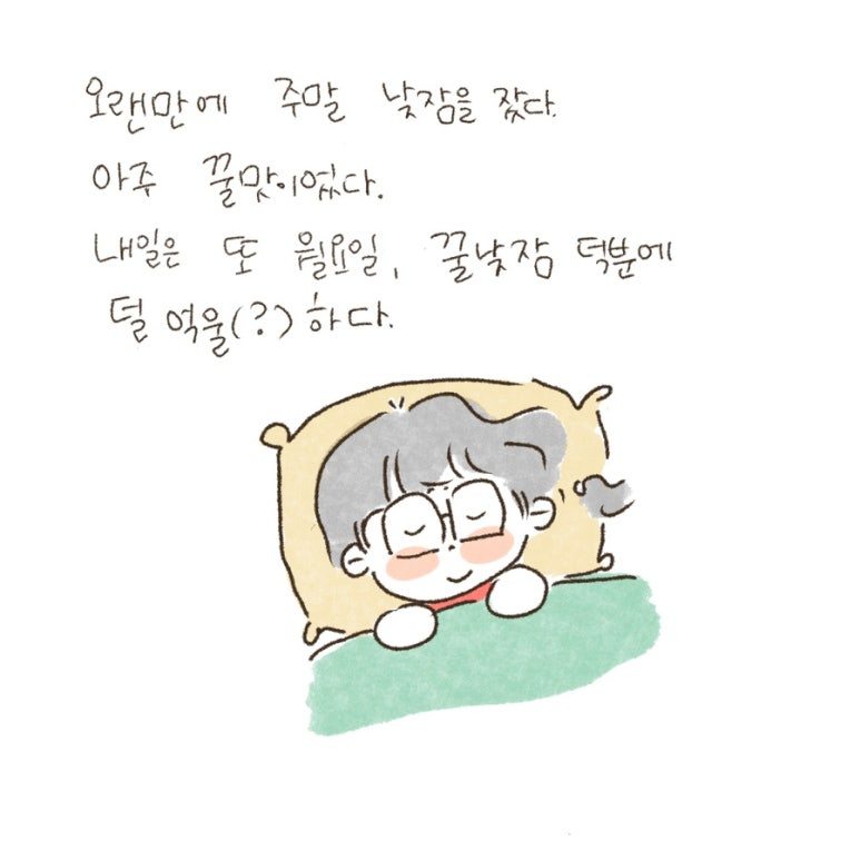 오늘을 남기다] 꿀 낮잠