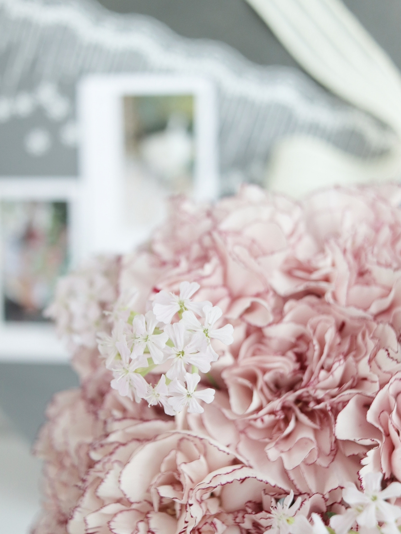 1-8 카네이션 01.jpg