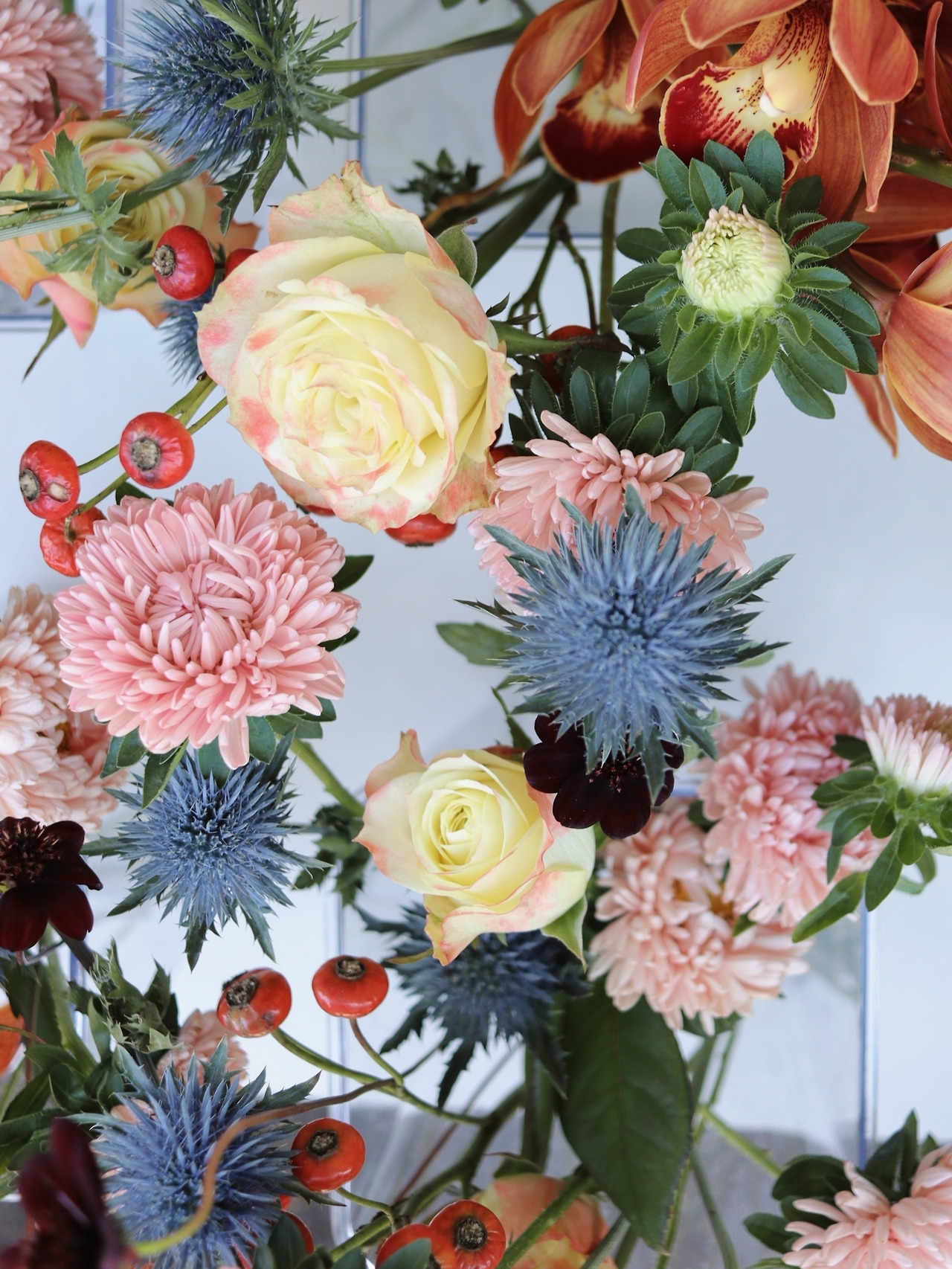 2-3 에키놉시스 01.jpg