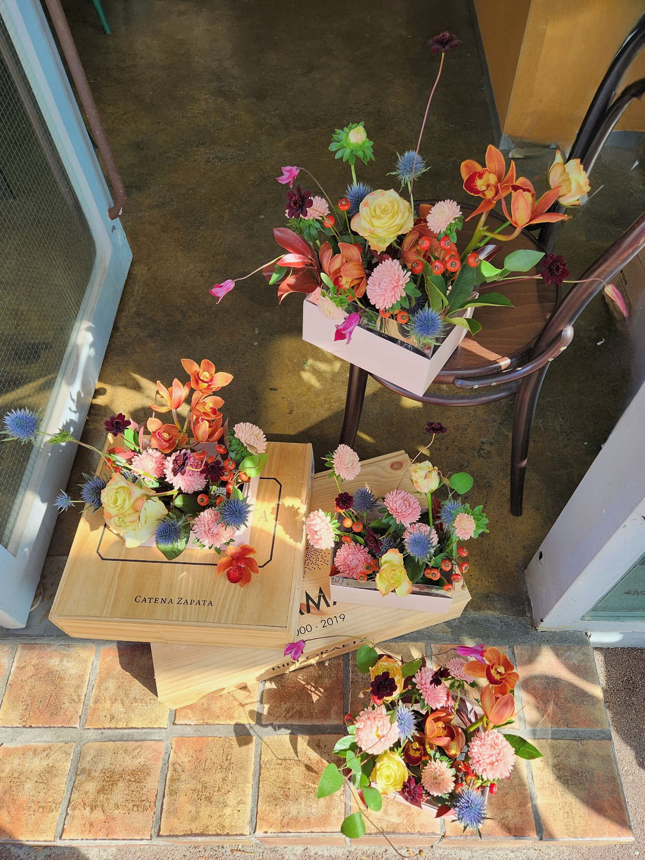 2-3 에키놉시스 02.jpg