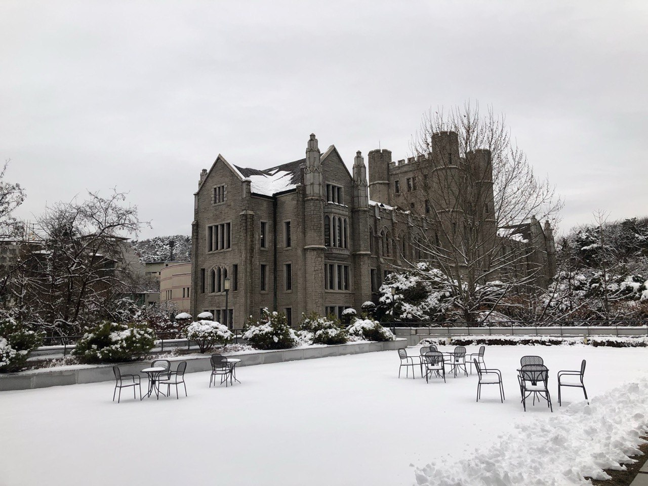 2024-09-02 20.59.25.jpg