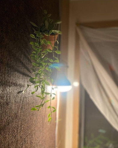 Cap 2022-03-09 16-35-21-811.jpg