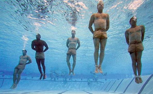 네이비 실.jpg