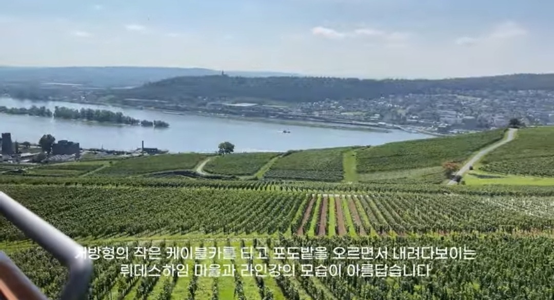 뤼데스하임 2.jpg