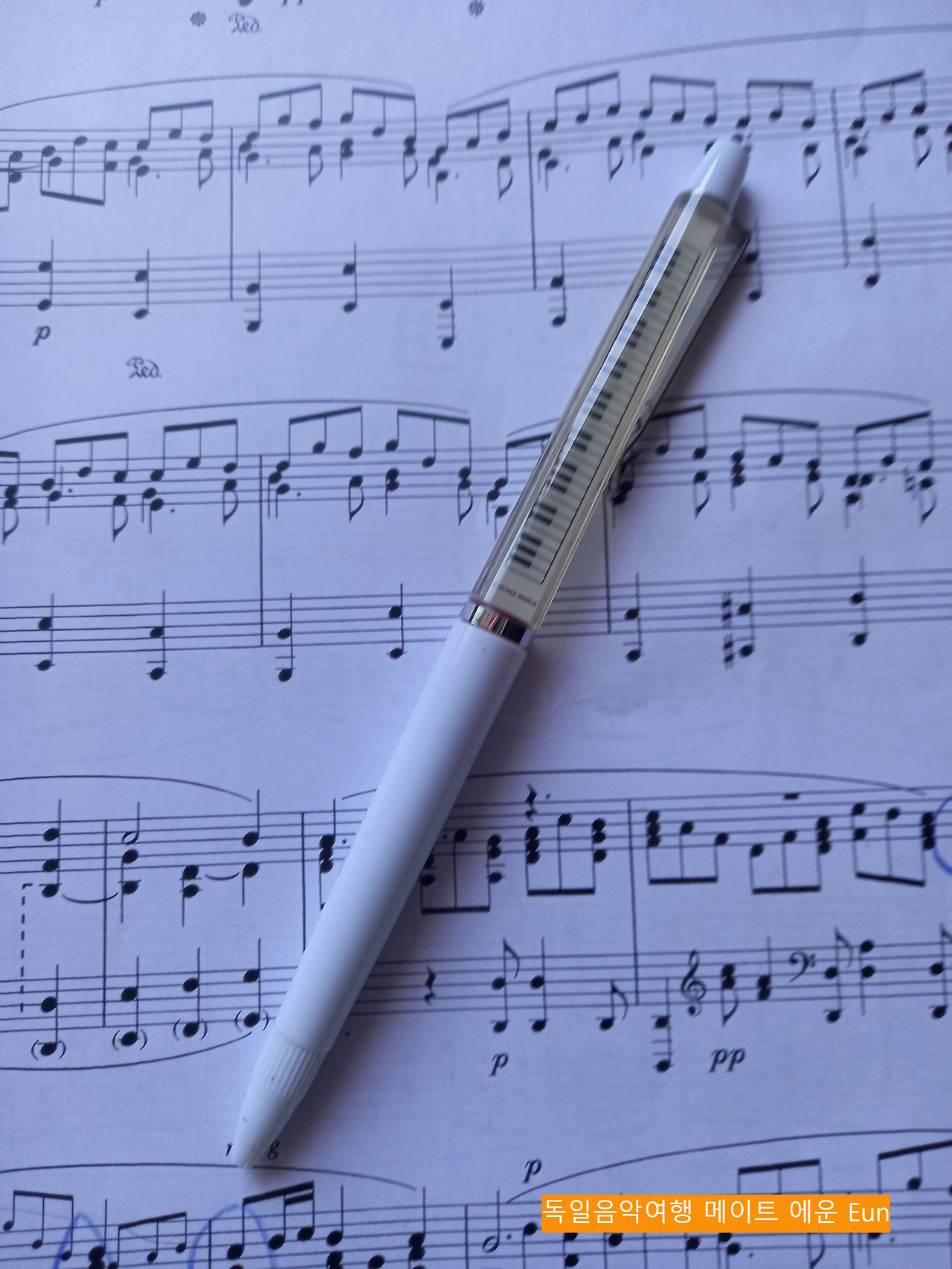 볼펜 악보 위 2.jpg