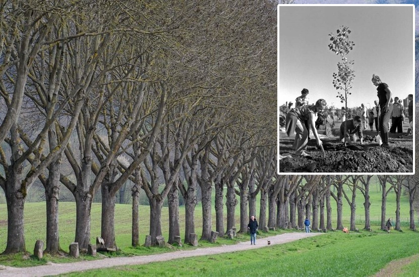 p09lw0n7 - 복사본 (2).jpg