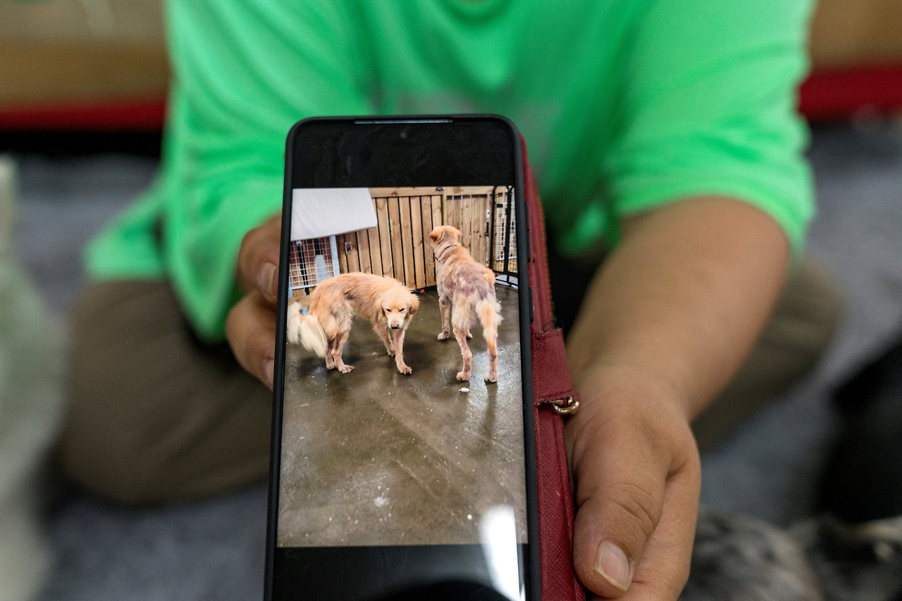 [신나개_ 사진4].jpg