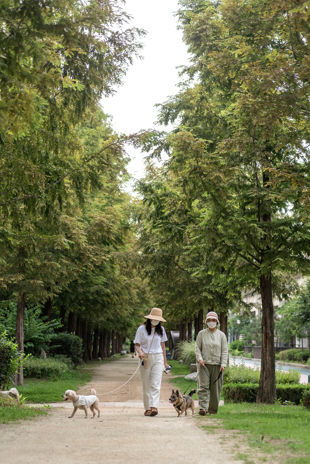 산책사진_1.jpg