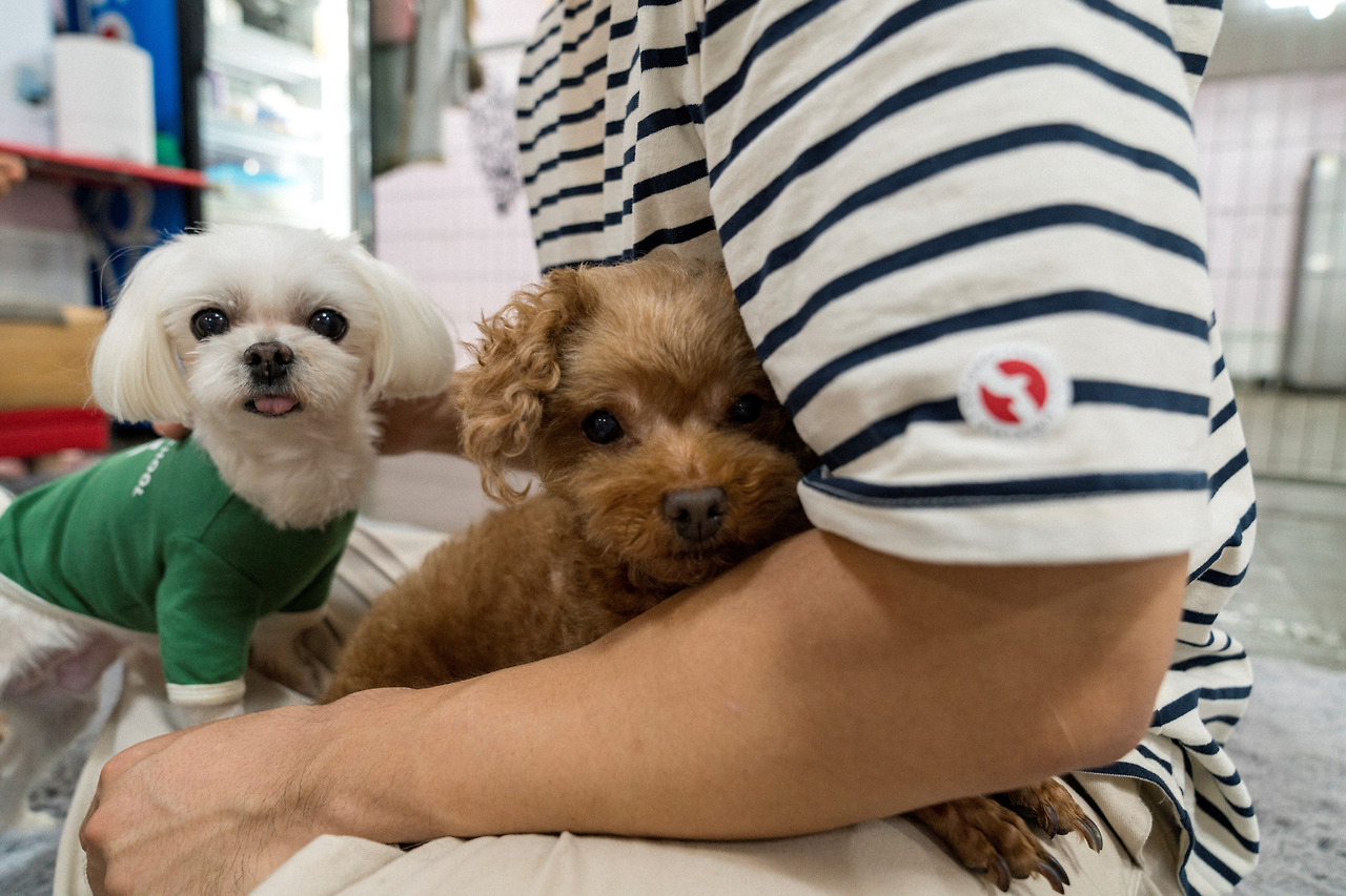 [신나개_ 사진5].jpg