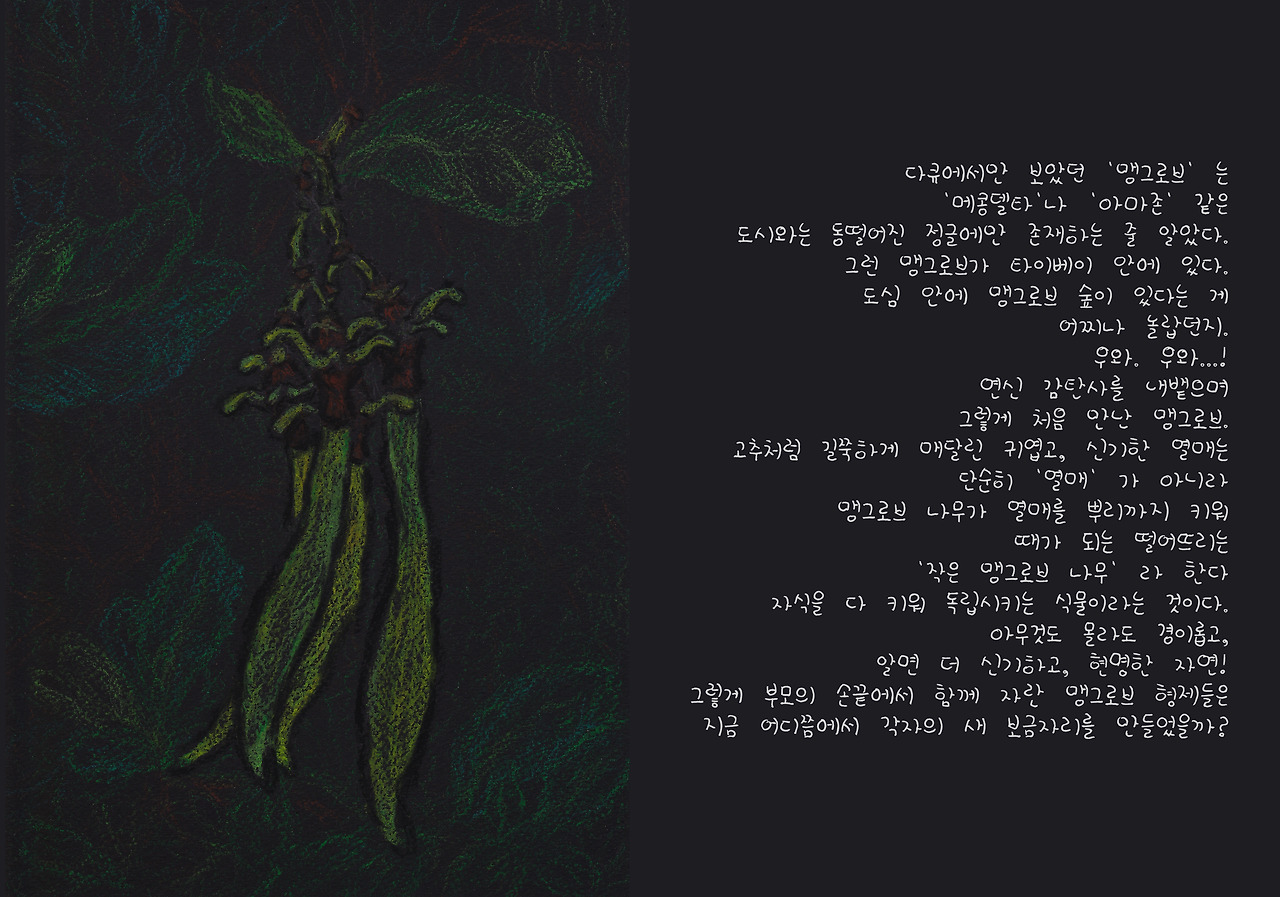 맹그로브 복사.jpg