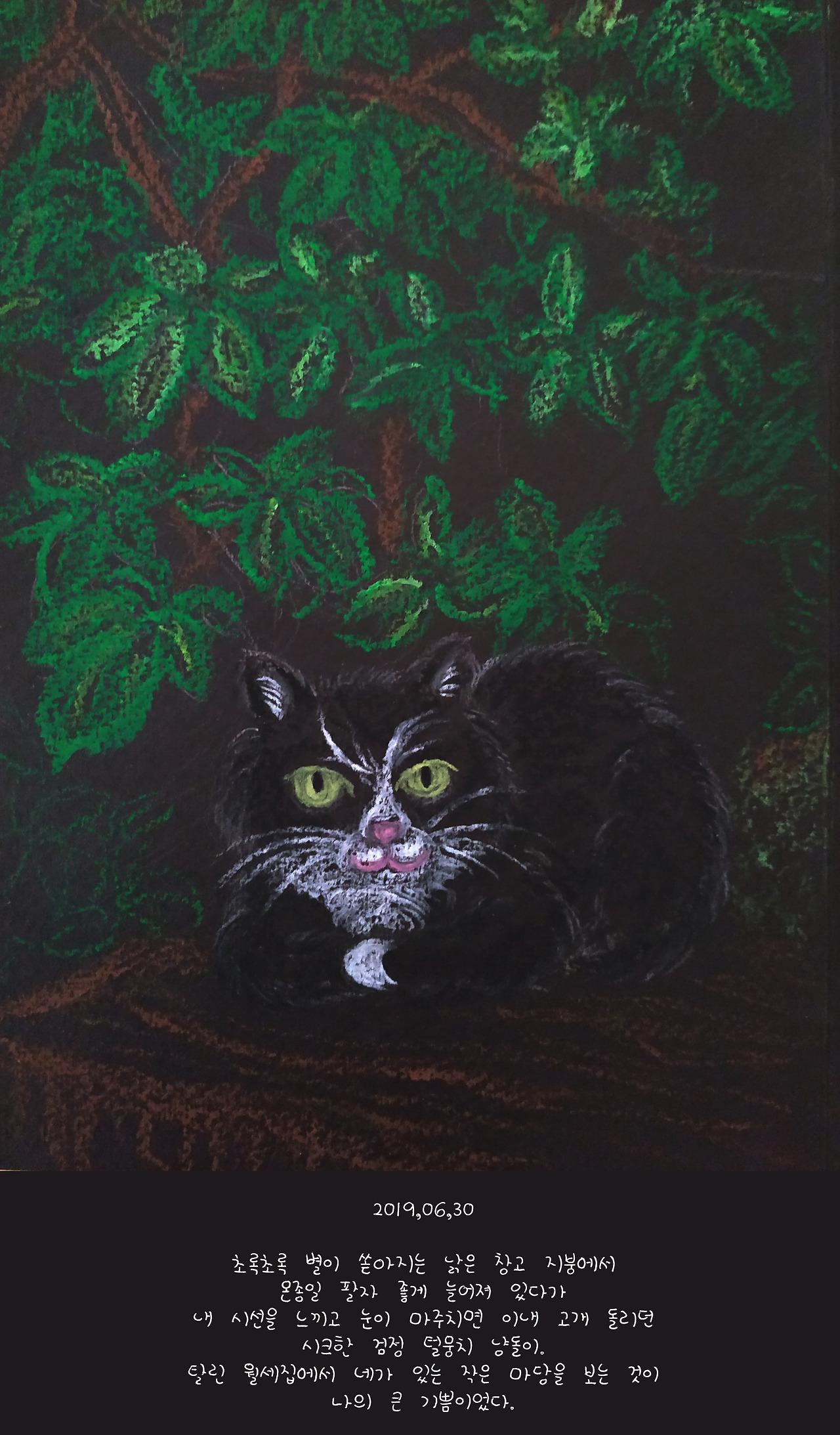 20190630.-1 copy.jpg