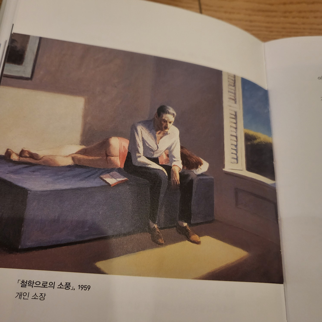 철학으로의 소풍.jpg