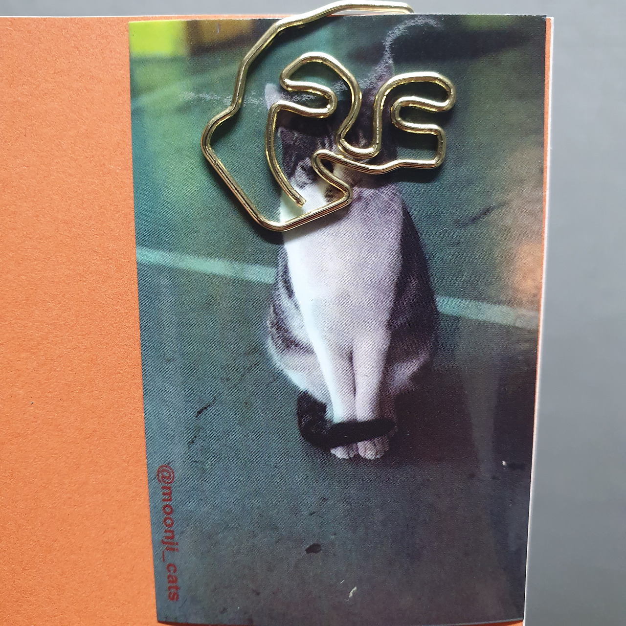 도서관 알바하다가 주운 책갈피.jpg