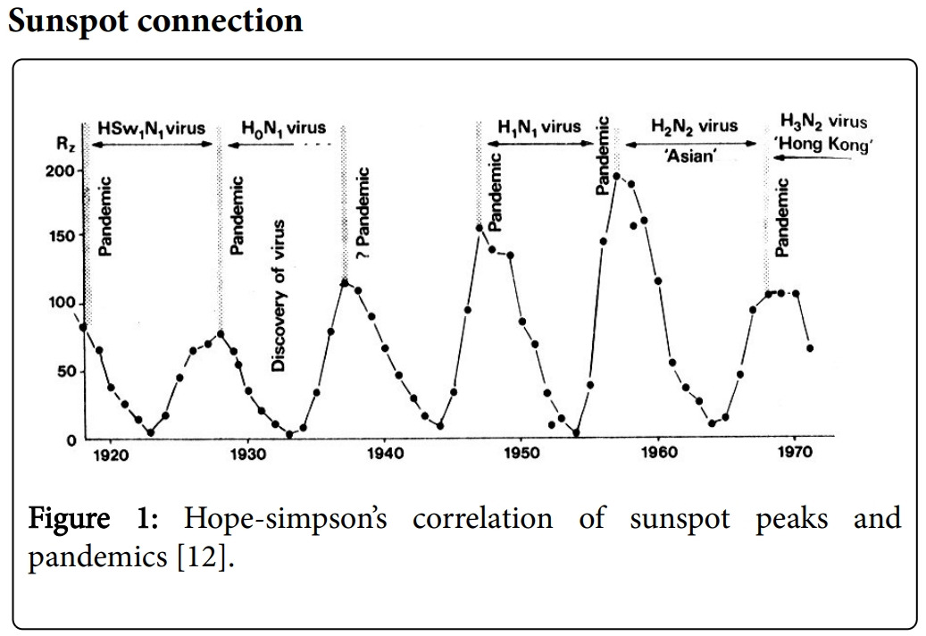 pandemic and solar cycle 1.jpg