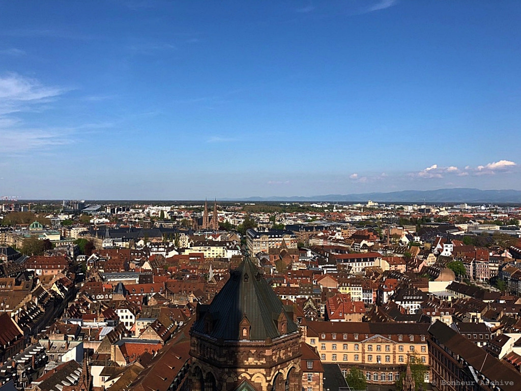 이미지 16.jpg