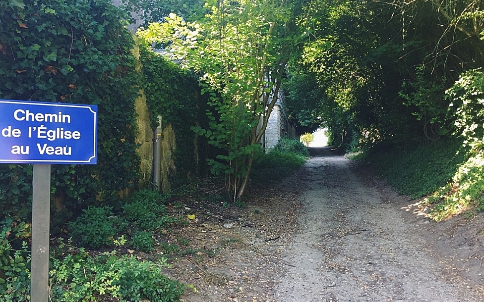 이미지 11.jpg