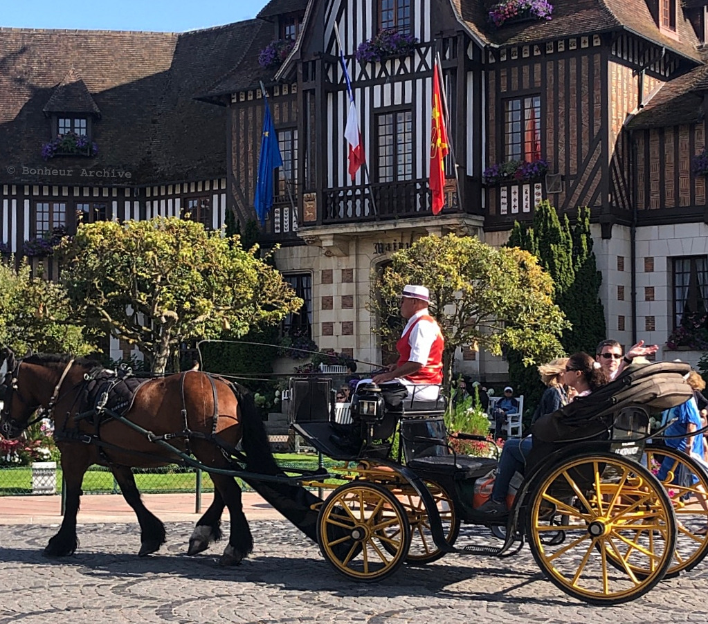 이미지 03.jpg