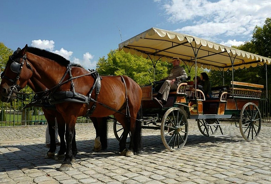 이미지 08.jpg