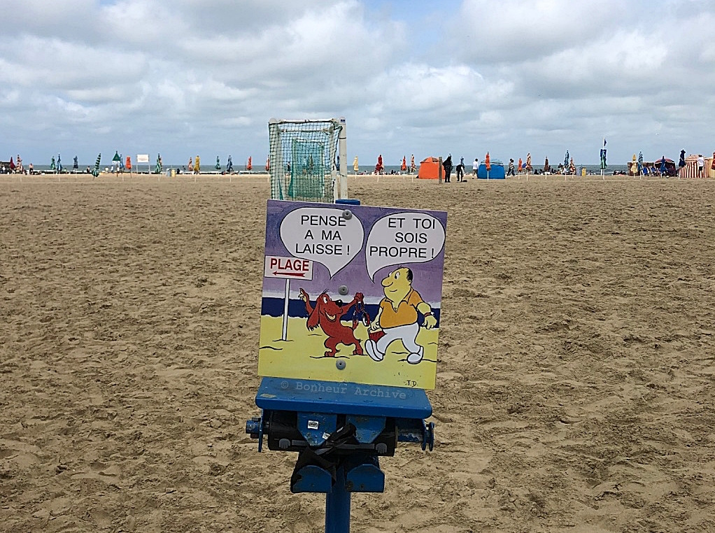 이미지 13.jpg