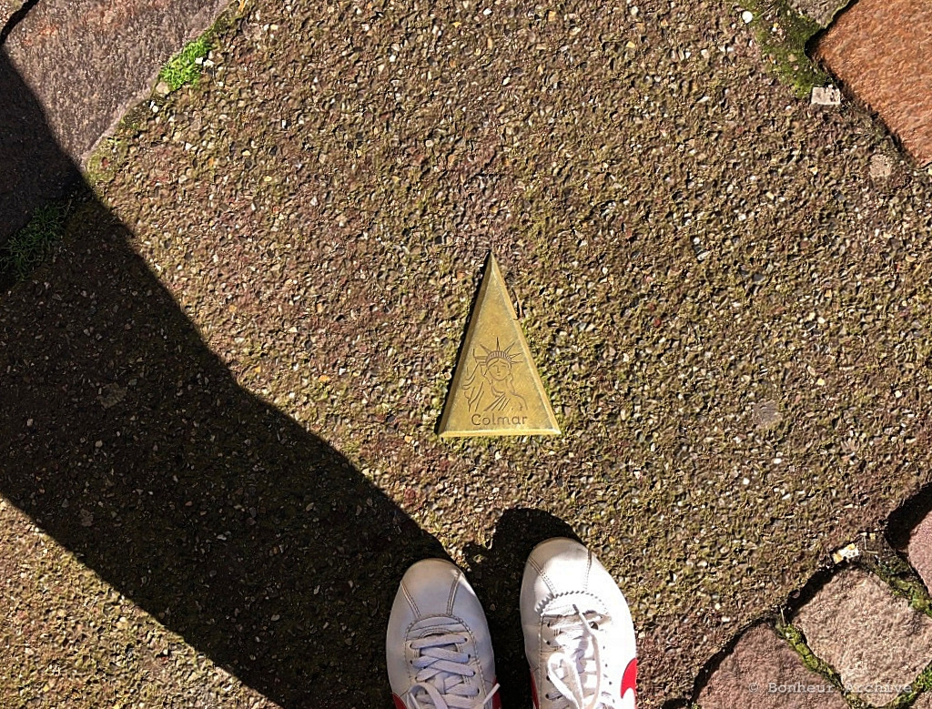 이미지 09.jpg