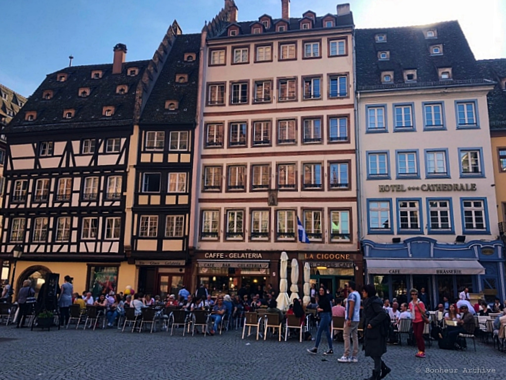 이미지 11.jpg