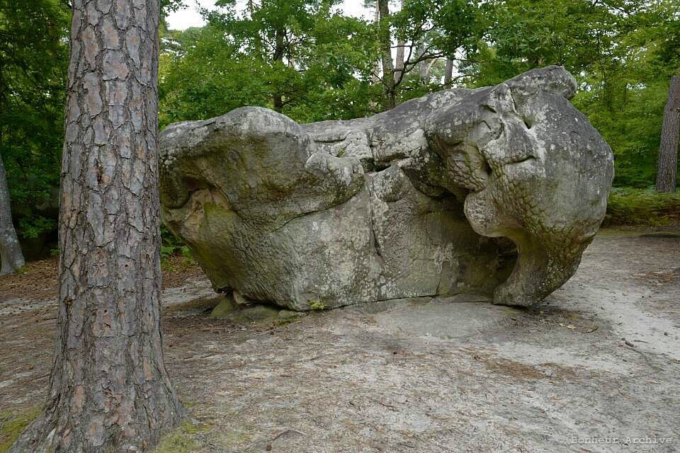 이미지 15.jpg