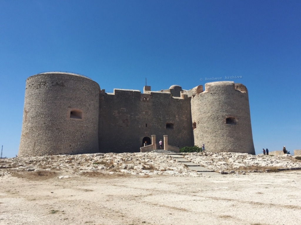 이미지 01.jpg