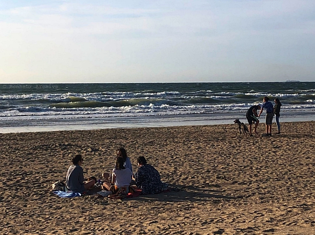 이미지 08.jpg